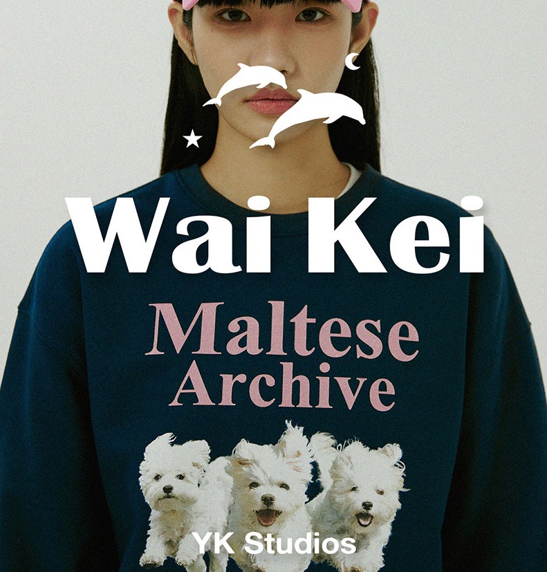 SEVENTEEN着用 多くのK-POPスターが着用 キャラクター 長袖 　マルチーズアーカイブスウェットシャツ 9色　UNISEX