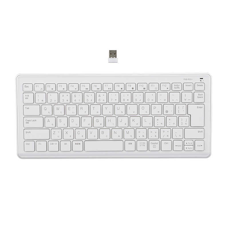 ナカバヤシ　超静音 無線静音ミニキーボード(テンキーなし)　FKBR251W