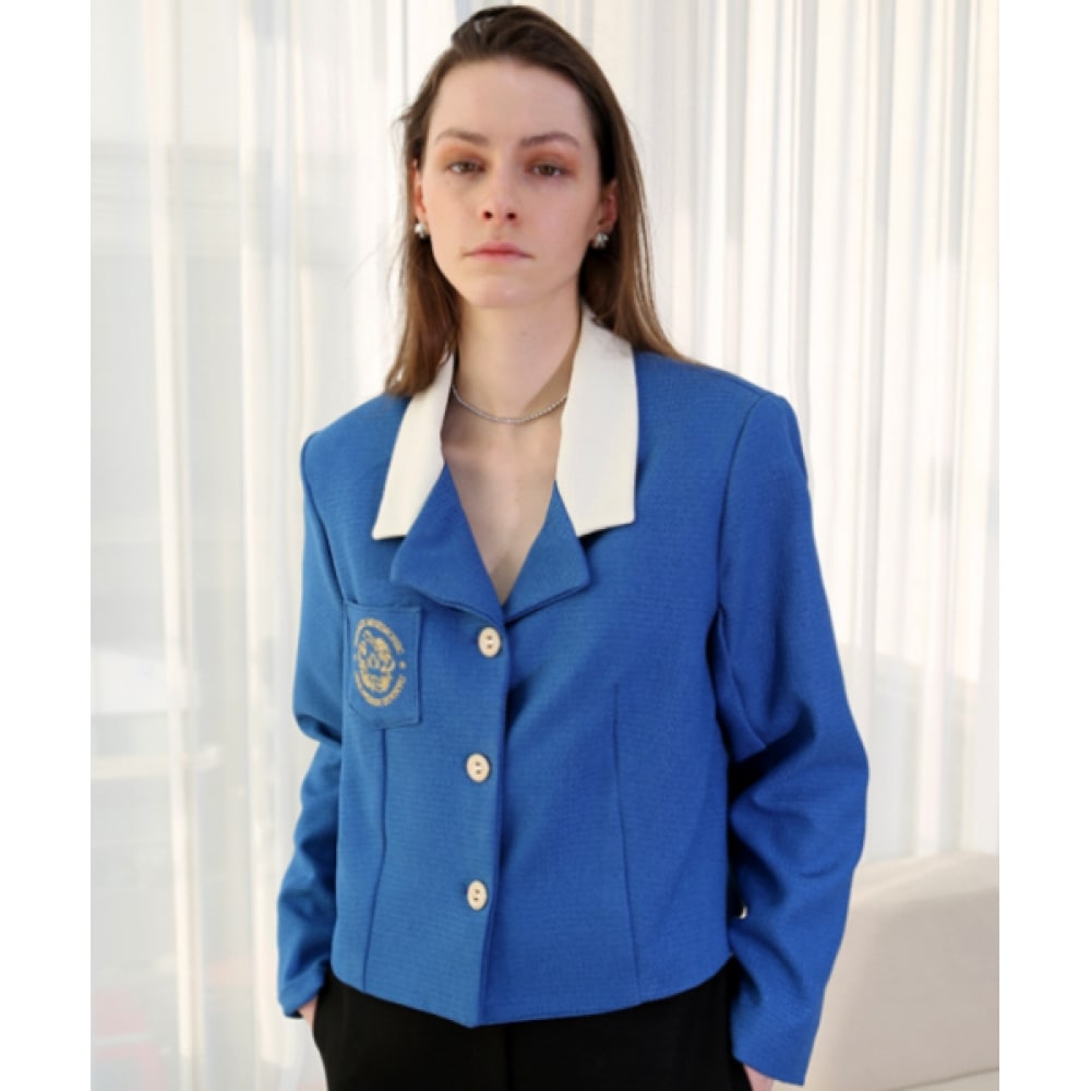 DAMAGE MNEMONIC刺繍クロップブルージャケット_ Embroidery Crop Blue JK