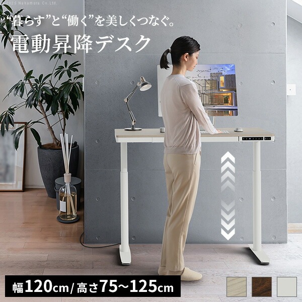 電動昇降デスク 幅120cm テーブル ワークデスク『電動昇降デスク SD』高さメモリー機能 高さ調整 USB付き 電動昇降テーブル PCデスク パソコンデスク オフィスデスク E4A-CF2