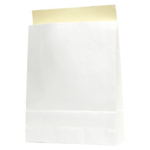 （まとめ買い）N宅配袋 L 白無地 （25枚入） 004192411 00022923 [x3]