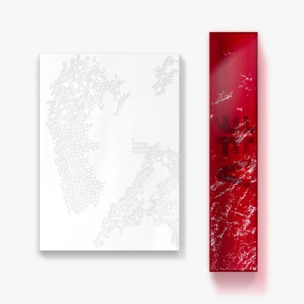 [MEGA] [2種セット] (Photobook+Poster Set) BTS V TYPE 非 防弾少年団 公式グッズ