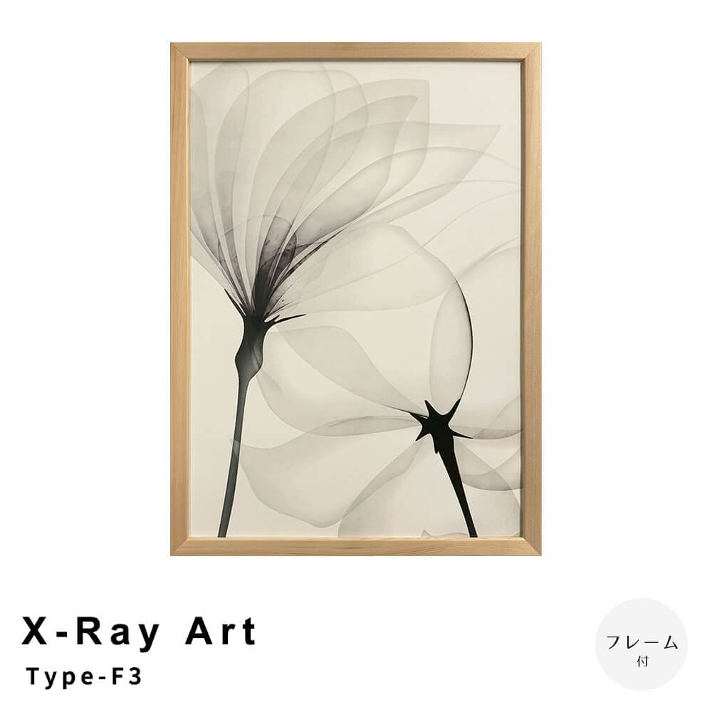 Ｘ－Ｒａｙ　Ａｒｔ　Ｔｙｐｅ－Ｆ３　アートポスター（フレーム付き）