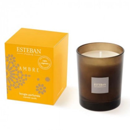 日本香堂 Nアンバー キャンドル 53570