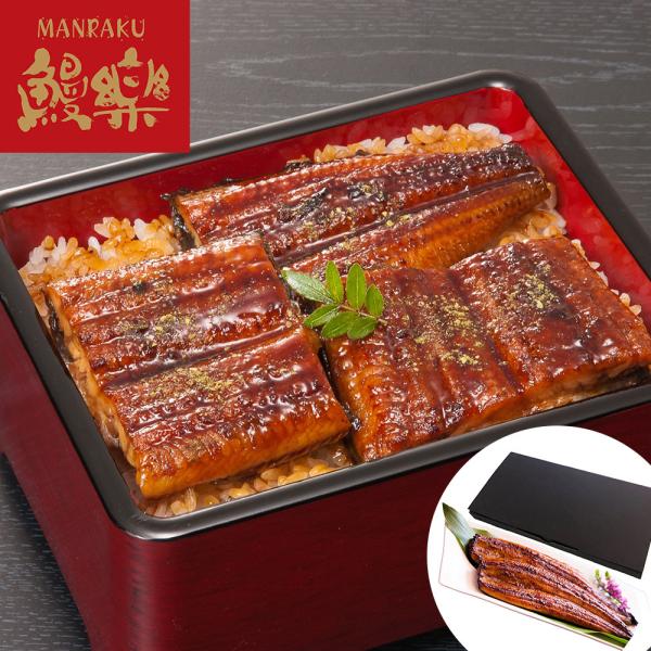 宮崎 鰻楽 九州産うなぎ蒲焼 2尾 計280g SISK