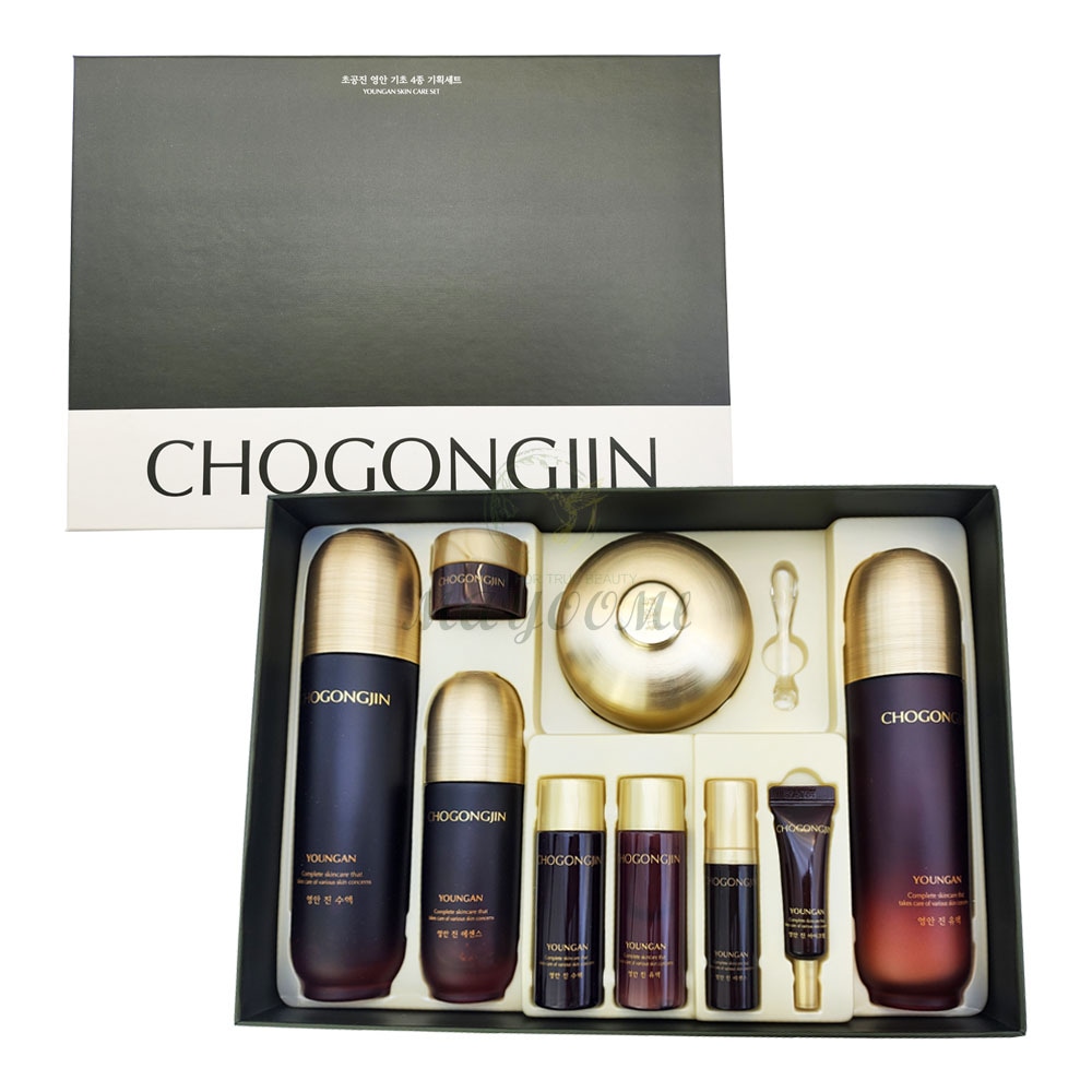 チョゴンジン ヨンアン 基礎4種企画セット