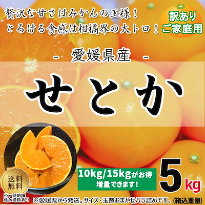 Qoo10] 買えば買うほどオトク 愛媛県産 せとか