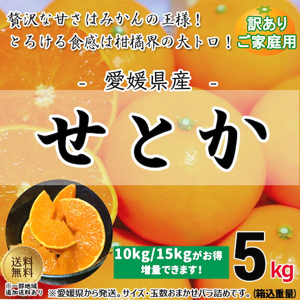 愛媛県産　せとか　柑橘　　15kg
