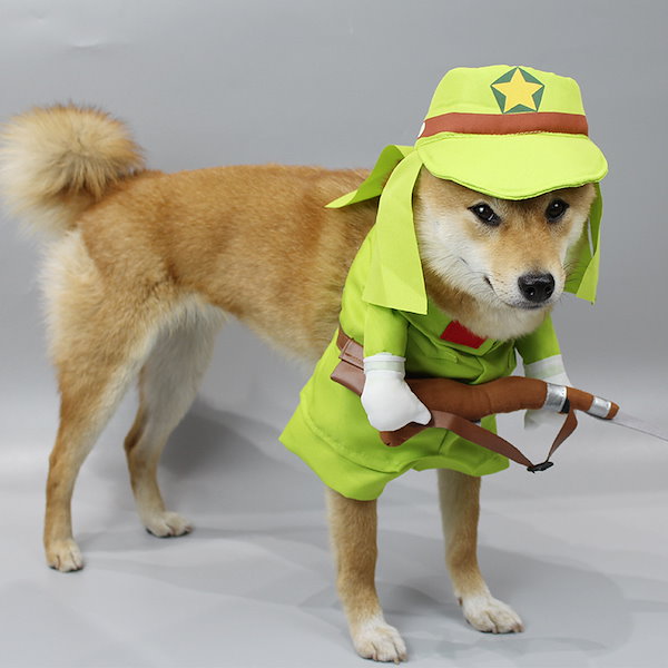 犬 の トップ 面白い 服