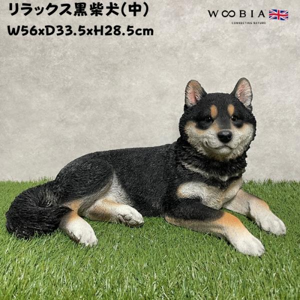 置物 犬 動物 リラックス黒柴犬 グッズ 高さ28.5cm woobia おしゃれ 玄関 インテリア ガーデン かわいい オブジェ