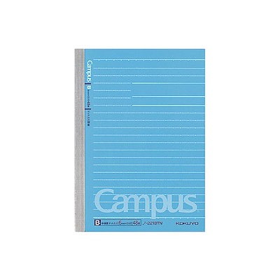 【希少！一点物！入手困難！】五十嵐天宗 先生　書作品　「蘇東坡の詩 」 希少！一点物！入手困難！】五十嵐天宗 先生 書作品 「蘇東坡の詩