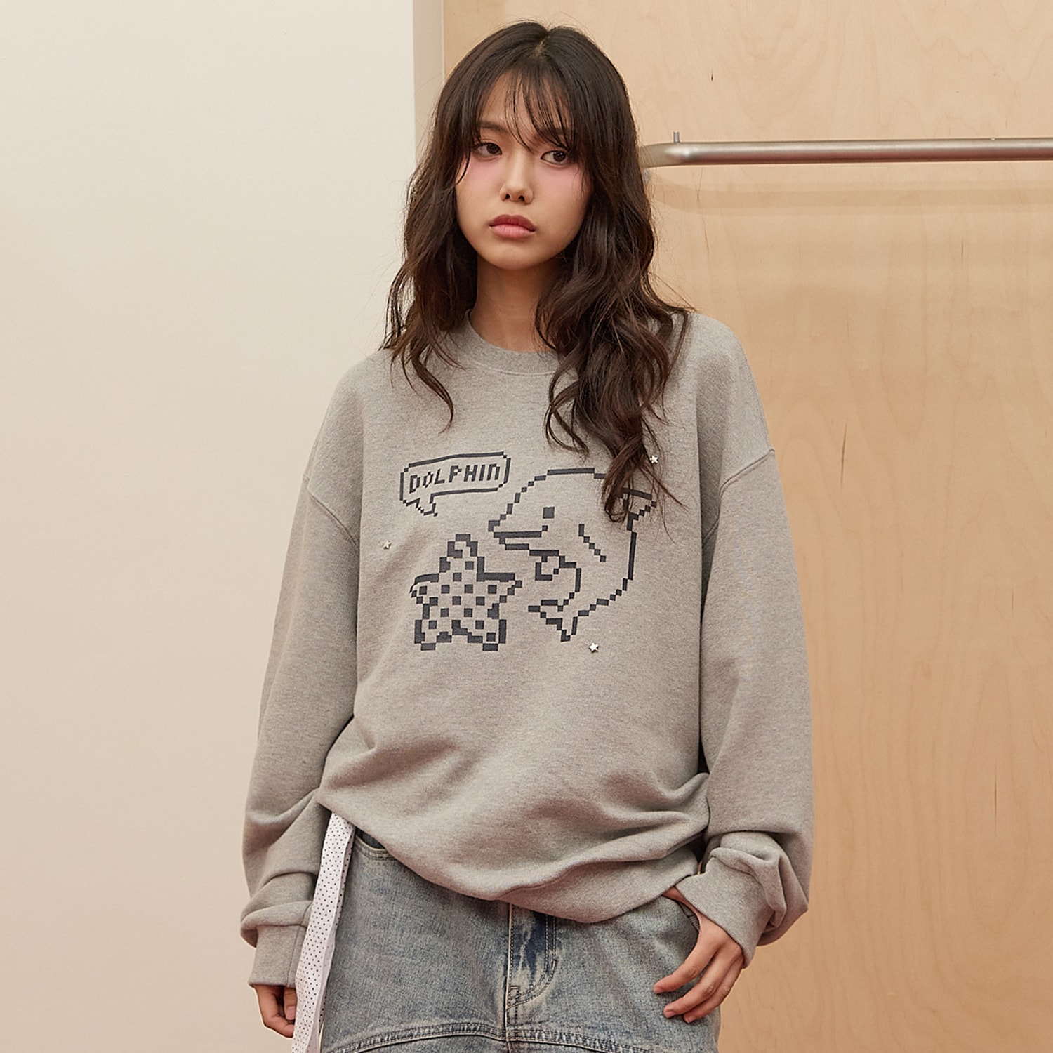 Pixel Star Dolphin Sweatshirt GREY