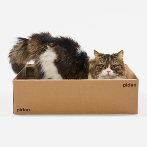【韓国公式/正規品】ペペ ピダン 猫 スクラチャー ボックス