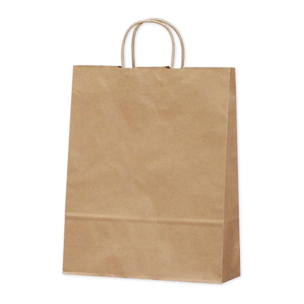 （まとめ買い）ササガワ 手提げ袋 未晒 幅320xマチ110x高さ400mm 50枚入 50-5301 [x3] 9,583円