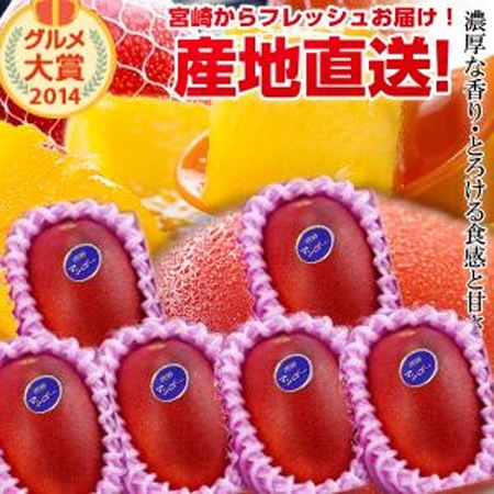 宮崎完熟マンゴー中玉6玉入り 宮崎からお届けする南国の香り・とろける美味しさ がいっぱいの完熟マンゴー お中元 青果物 フルーツギフト 父の日