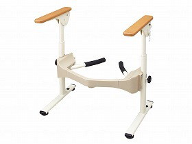 エンテイv 1枚 100円 【公式通販】