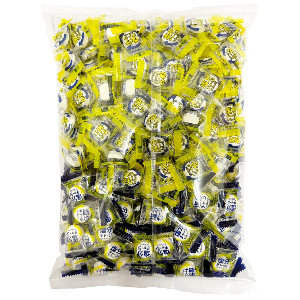カバヤ 塩分チャージタブレッツ 2種 1kg（約333粒）大容量 ビッグシェアパック（スポーツドリンク味・塩レモン味）小袋 個包装 業務用 大袋 塩分補給 塩タブレット 塩分タブレット 塩飴