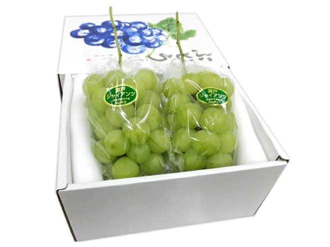 岡山産 =瀬戸ジャイアンツ= 秀品 2房 約1kg 化粧箱 ぶどう[K1] 予約 9月以降