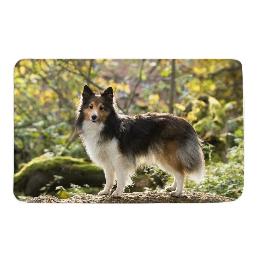 カーペット 2031.5in シェルティー-犬-木-葉 お手入れが簡単 ノンスリップ 耐久性