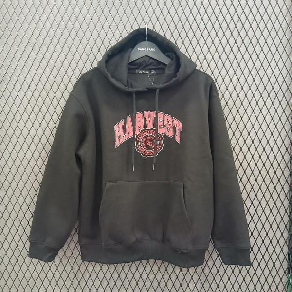 HC03 秋の女性ミンク起毛フード付きTシャツ89 CTL631 (S41247177)