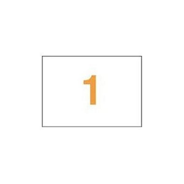 （まとめ）ライオン事務器 PPCタックラベルA4判 297×210mm（ノーカット）PPC-01 1箱（100シート）(×3セット)