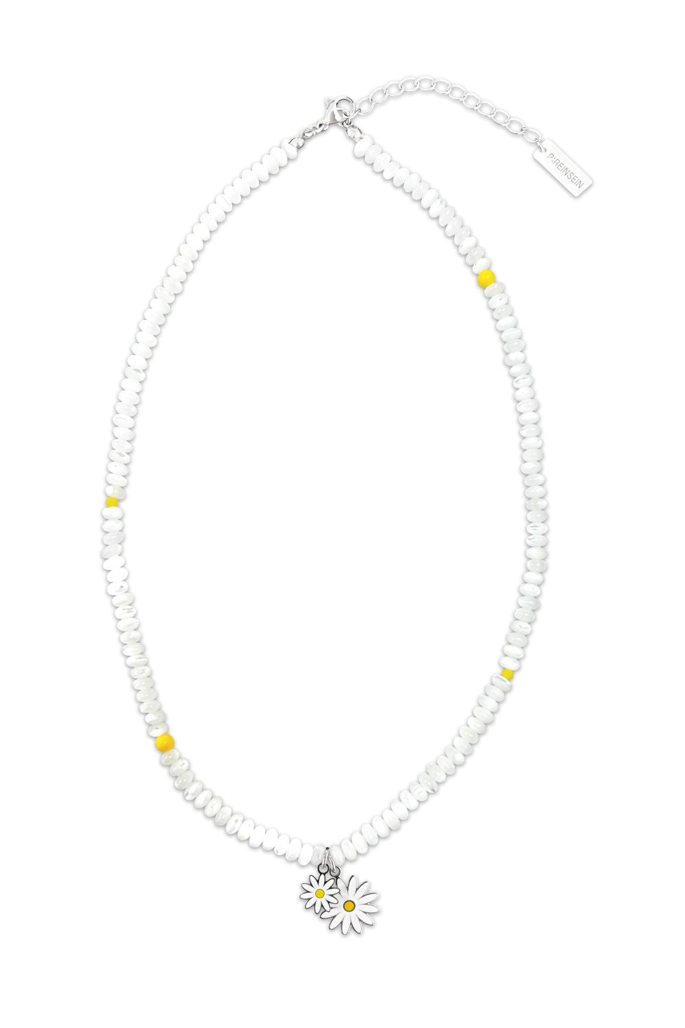 자개 데이지데이지