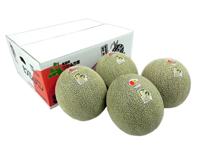 青森県 きづくり/にしきた =タカミメロン プレミアム= 4-6玉 約8kg 糖度17度以上 予約 6月末以降