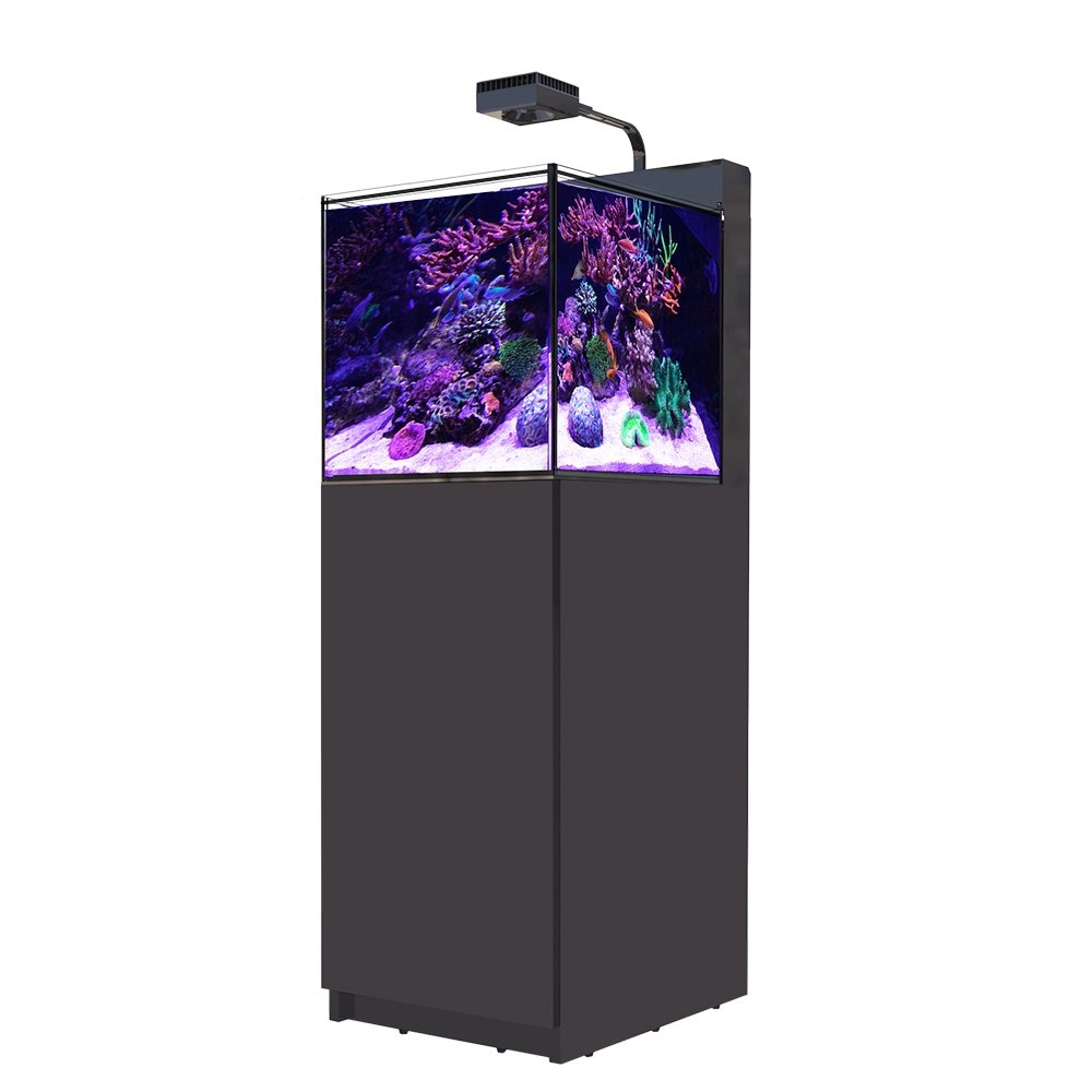 レッドシー　ＭＡＸ　ＮＡＮＯ　Ｇ２　ペニンシュラセット　黒　５０Ｈｚ　東日本用　４５ｃｍ水槽　ＣＲＣ10―11―03―92―00