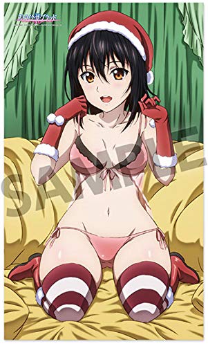 ストライク・ザ・ブラッドIII マイクロファイバーバスタオル 姫柊雪菜 サンタver.