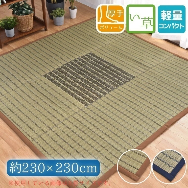 い草 ラグ 夏用 マット ウレタン入り ふっくら 4.5畳 約230x230cm 天然素材 カーペット 敷物 ござ チェック ブロックチェック 裏面不織布 夏用 花ござ 紋織 敬老の日 sizuku