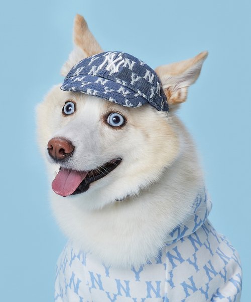 PETモノグラムキャップNY(NAVY)