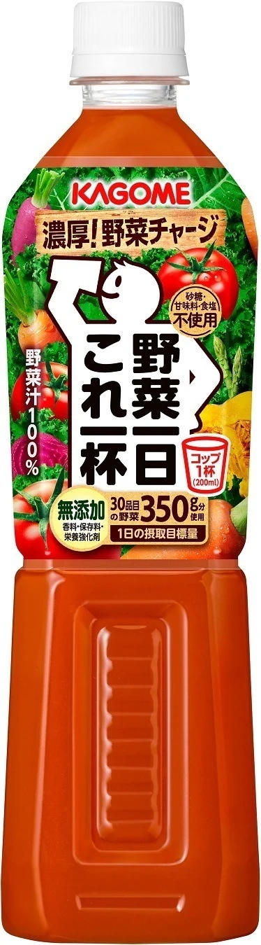 カゴメ 野菜一日これ一杯 PET 720ml 2ケース/30本【北海道沖縄県東北四国九州地方は必ず送料がかかります】