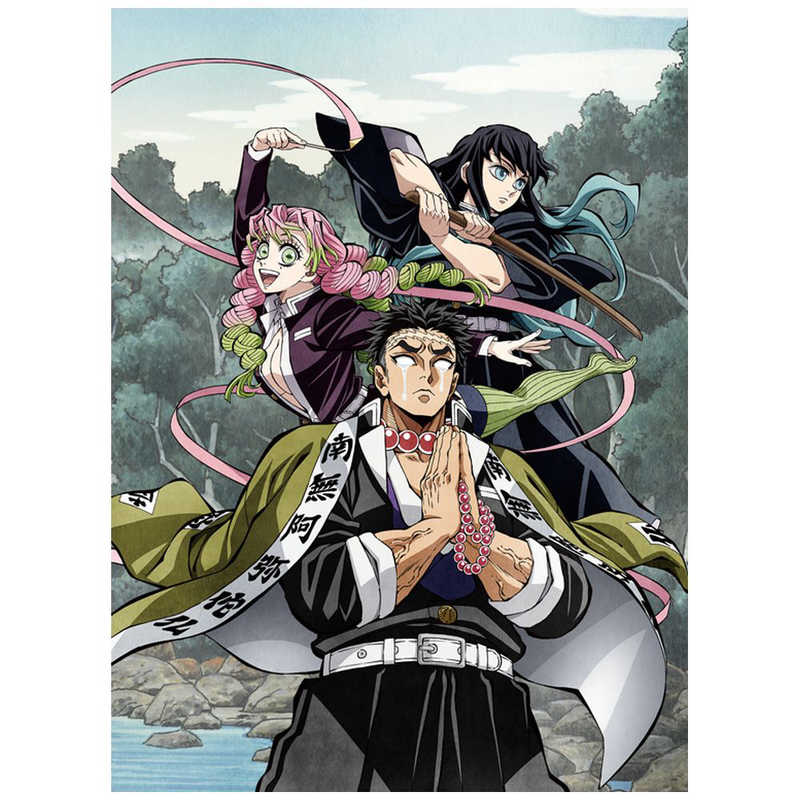 アニプレックス　DVD【ビックカメラ・コジマ共通オリジナル特典付】鬼滅の刃 柱稽古編 3 完全生産限定盤