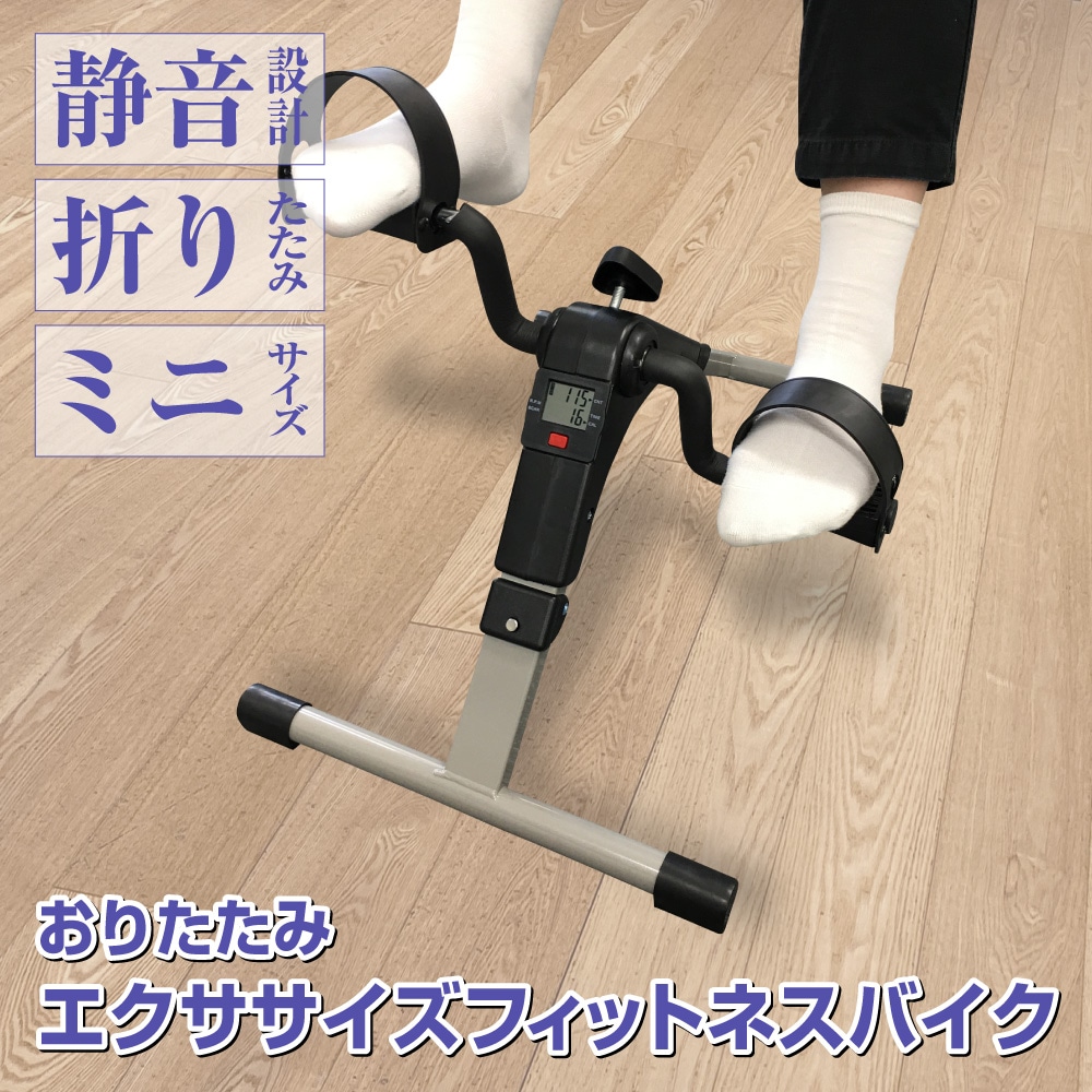 【新品未使用】BUDDICA PHOENIX BODY 3点セット バディカフェニックスボディ3点セット新品