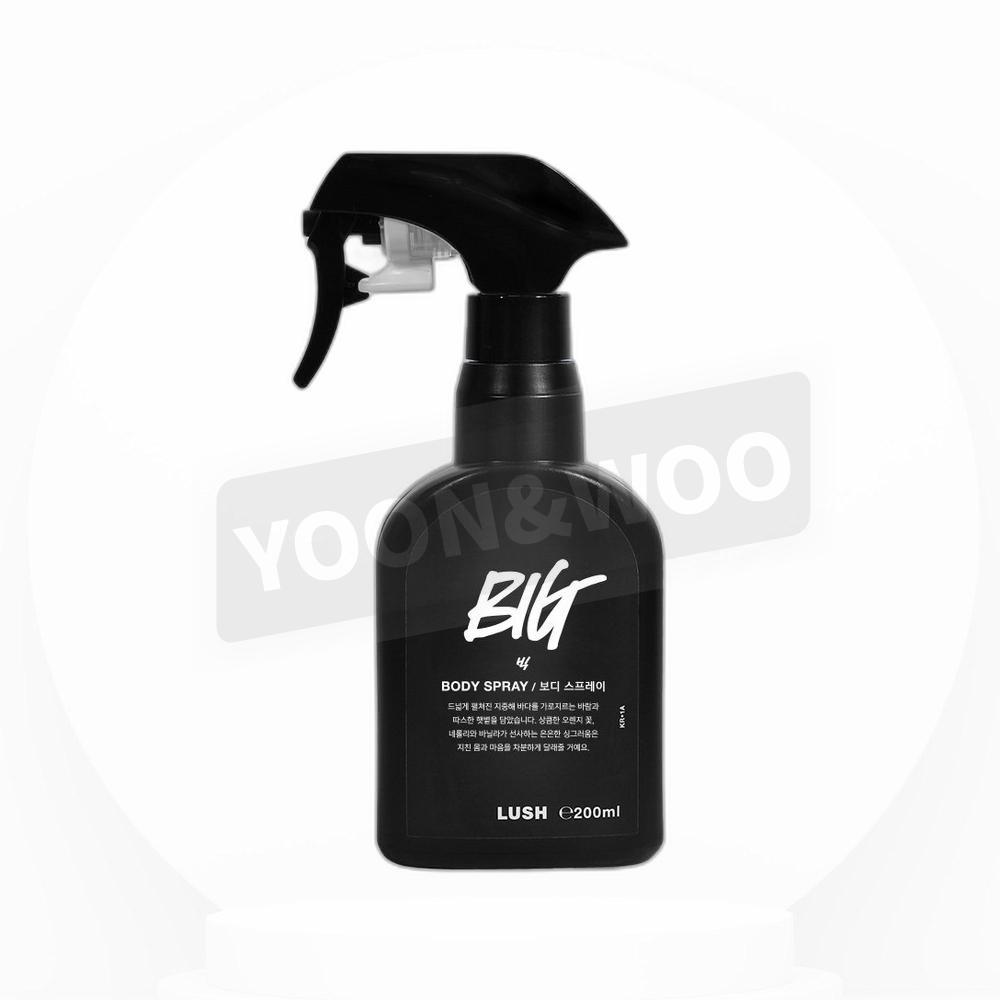 ビッグボディスプレー 200ml 1個