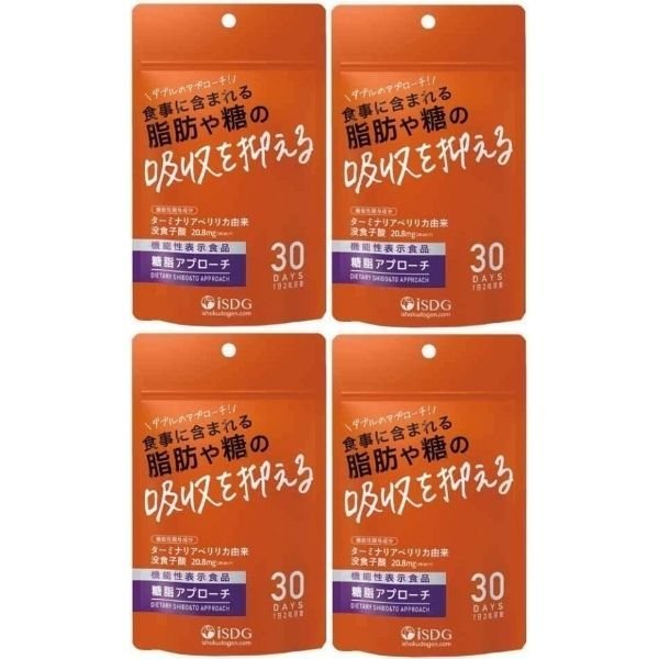 再入荷】 糖質アプローチ 4袋 機能性表示食品 医食同源ドットコム 60粒 肥満 脂肪 カット 糖質 アーユルヴェーダ サプリメント  ターミナリアベリリカ サプリ ダイエット その他 - www.ctgpropertymanagement.com