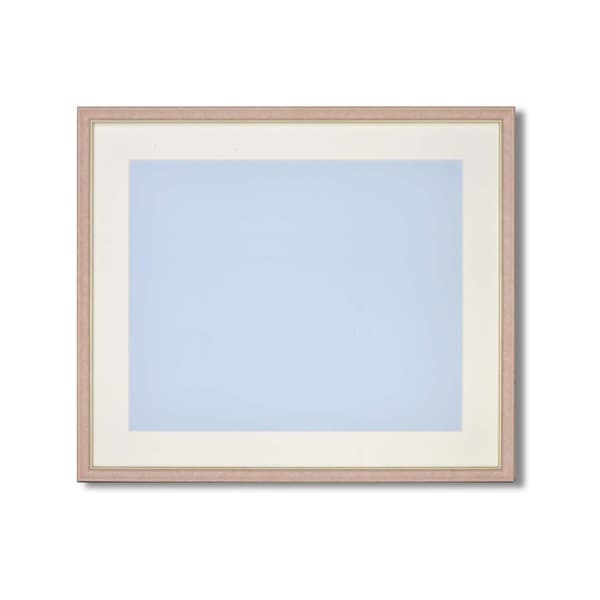 ( 軽量水彩額 ) 水彩額 F10号 ピンク 色あせを防ぐUVカットアクリル・マット付き 額 額縁 フレーム