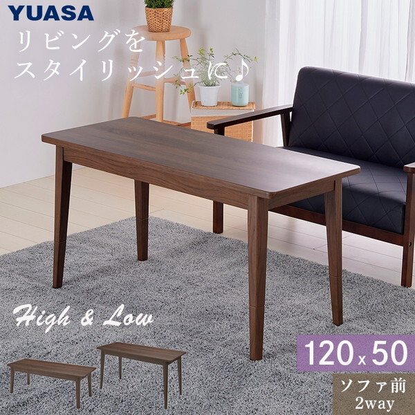 �t�F���X120E(BR) [�u���E��]