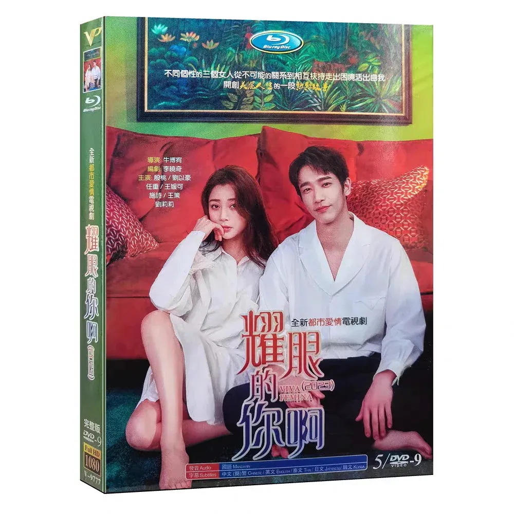 劉以豪 経済版DVD5枚セット 全35話 （日本語字幕なし）中国ドラマ『耀眼的你啊』殷桃 中国語発音字幕