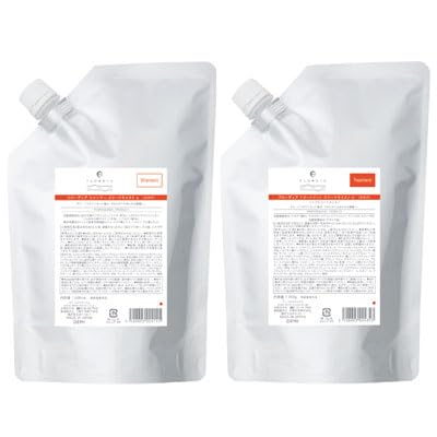 デミ コスメティクス フローディア シャンプー スリークモイストa 1000ml＆トリートメントb 1000g 詰め替えセット