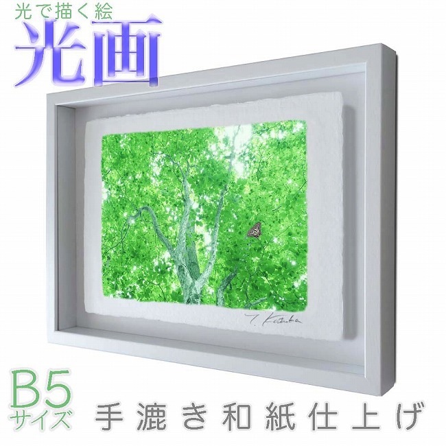 プロカメラマン片岡司 光画新緑の輝き B5サイズ 光で描く絵 手漉き和紙仕上げ 011-B5-ホワイト綺麗 背景 パステルカラー 和紙アート(21y8m)