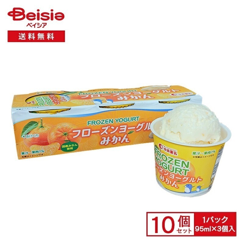 中央製乳 フローズンヨーグルトみかん （95ml×3）×10個 まとめ買い 業務用 アイス 送料無料