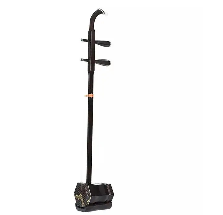 メガ割 民族楽器 二胡 演奏学習 29,696円