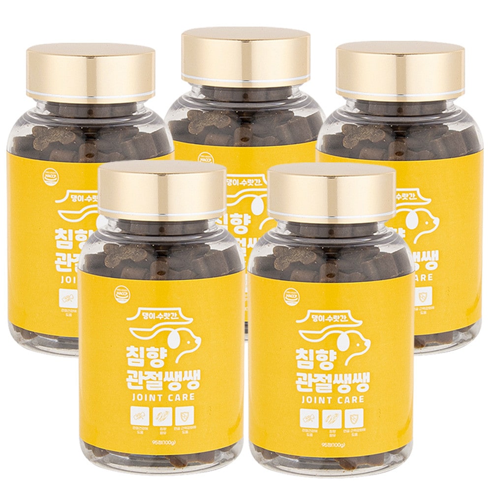 関節ランラン 100g 5個 ワンちゃん ペットサプリメント