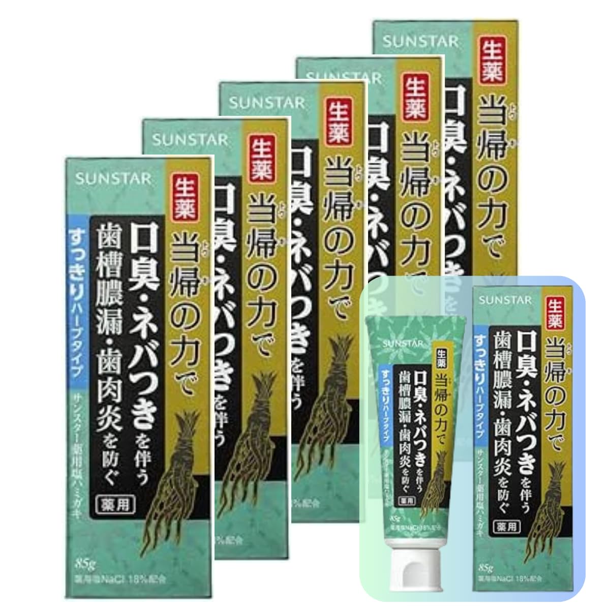 サンスター 当帰の力 薬用塩ハミガキ ５本セット すっきりハーブタイプ