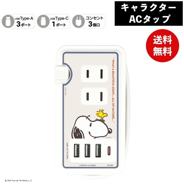 ピーナッツUSB/USB Type-C付き ACタップ フェイス SNGG-31A スヌーピー 電源タップ コンセント スマホ ACアダプタ AC充電器 ACプラグ USB 充電