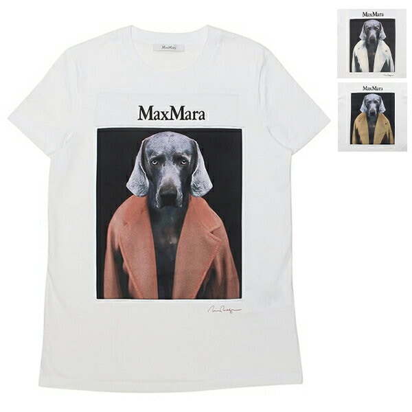 Tシャツ カットソー チプリア レディース 2421946071600 CIPRIA