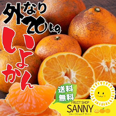 Qoo10] 愛媛県産 外なり 伊予柑 20kg(+約 : 食品