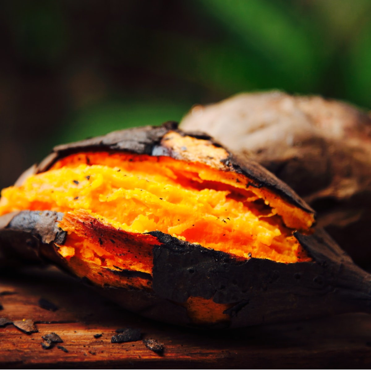 さつまいも シルクスイート 約10kg 箱込み 内容量約9.5kg +保証分約0.5kg 熊本県産 訳あり品 家庭用