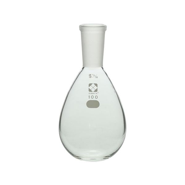 共通摺合平底なす形フラスコ 100mL (005400-19100)